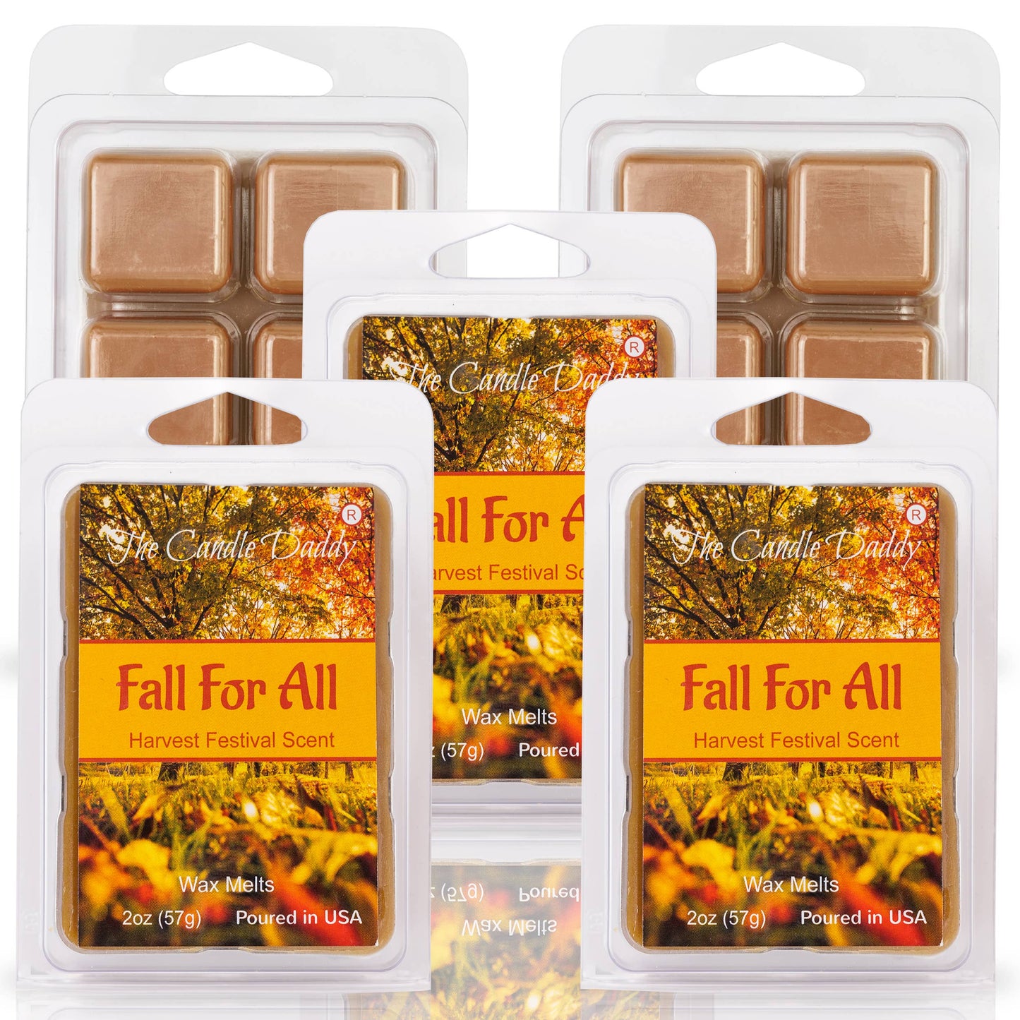 FUNNY FALL HALLOWEEN-FALL FOR ALL -HARVEST FESTIVAL WAX MELT