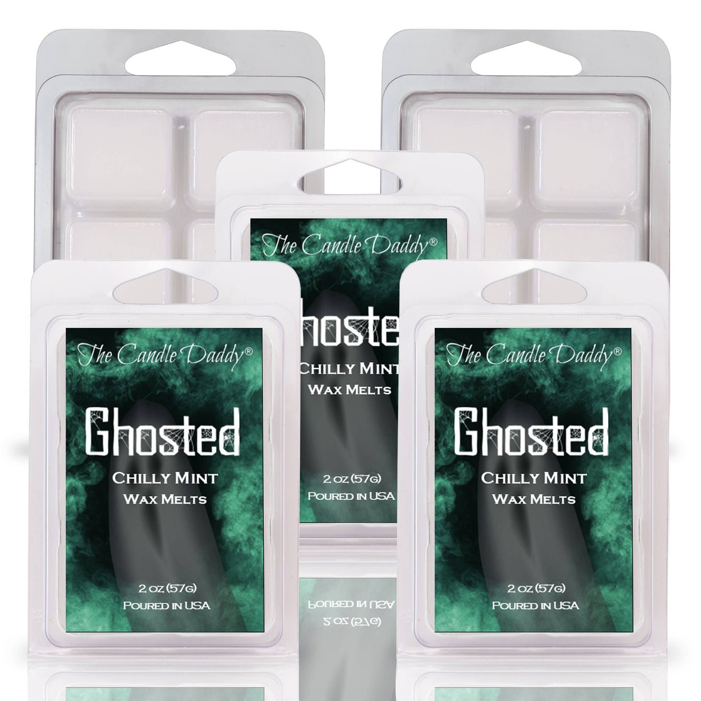 FUNNY FALL HALLOWEEN - GHOSTED - CHILLY MINT WAX MELT