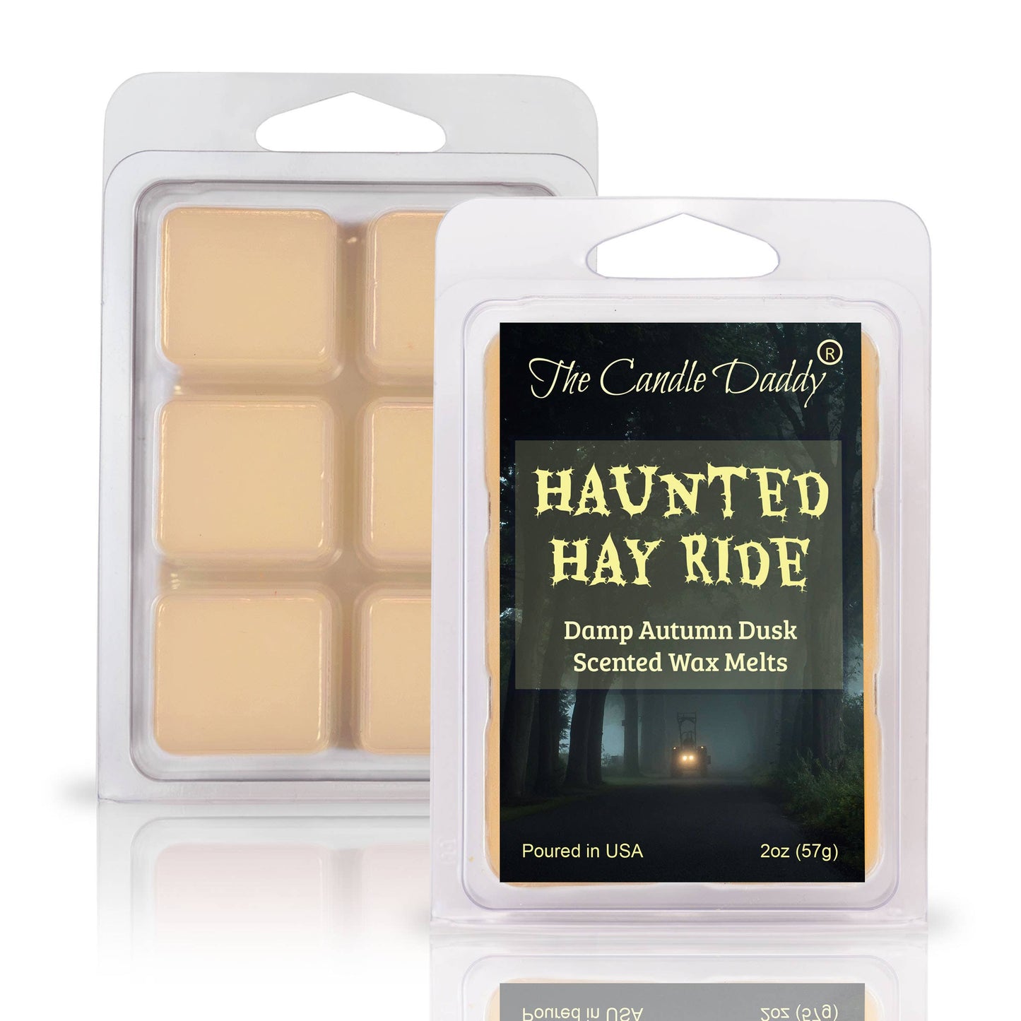 HAUNTED HAY RIDE - DAMP AUTUMN DUSK HALLOWEEN SCENTED WAX