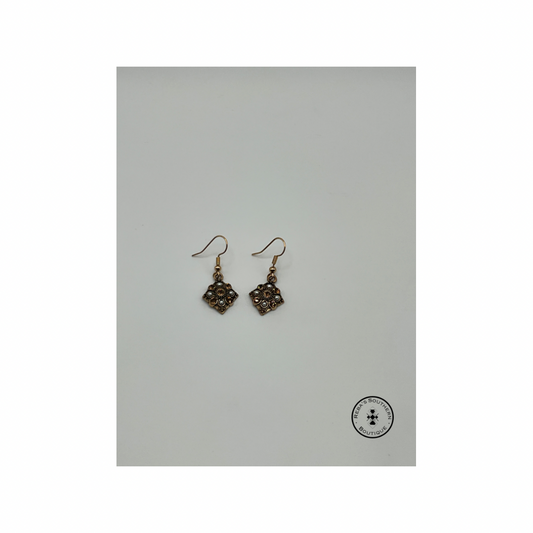 (Discounted) Western earrings