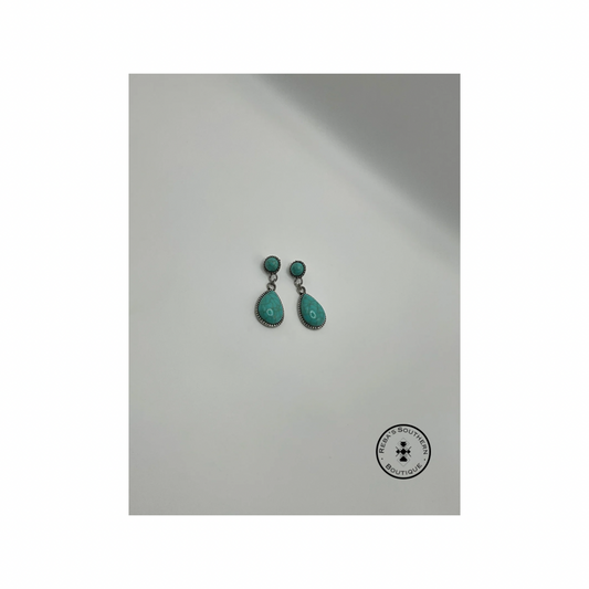 (Discounted) Turquoise dangly teardrop shaped fishhook earrings