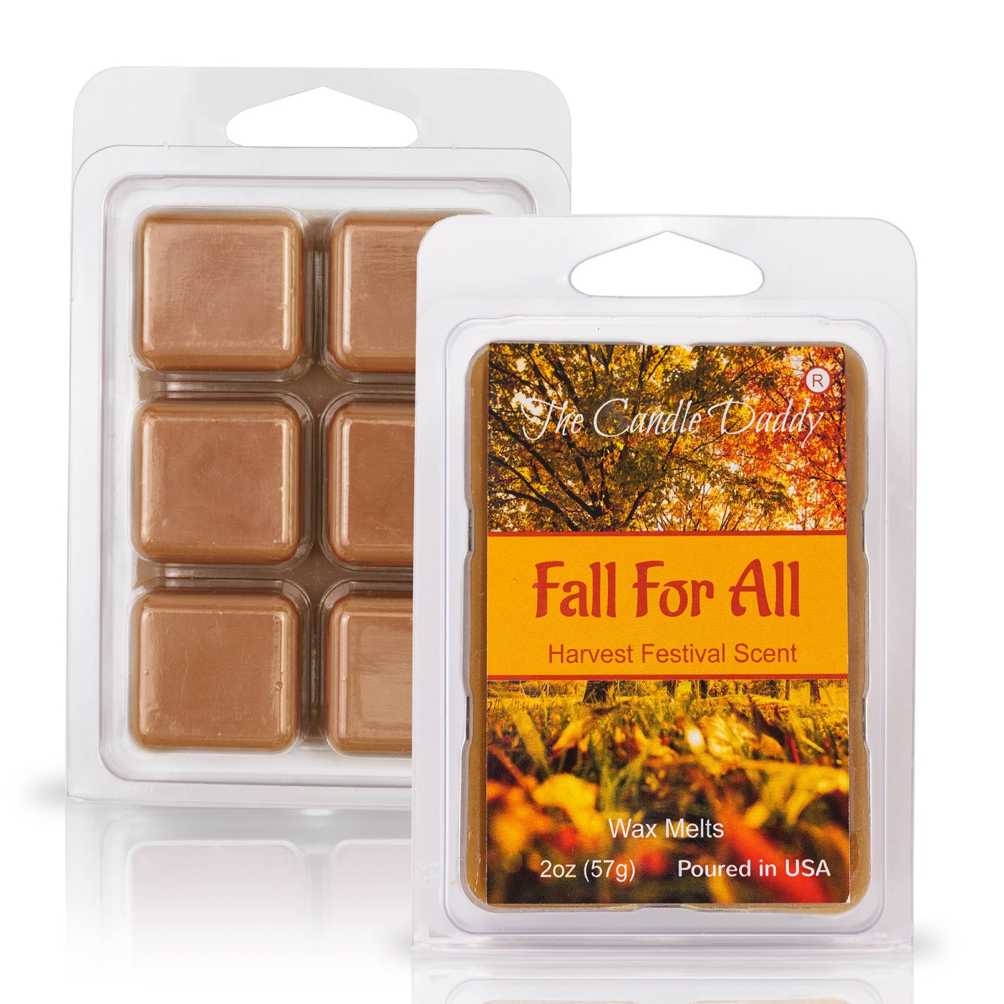 FUNNY FALL HALLOWEEN-FALL FOR ALL -HARVEST FESTIVAL WAX MELT