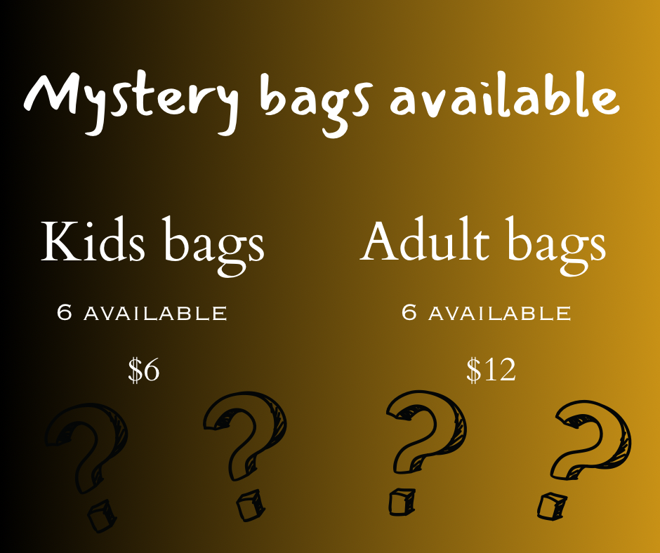 Kid Mystery bag