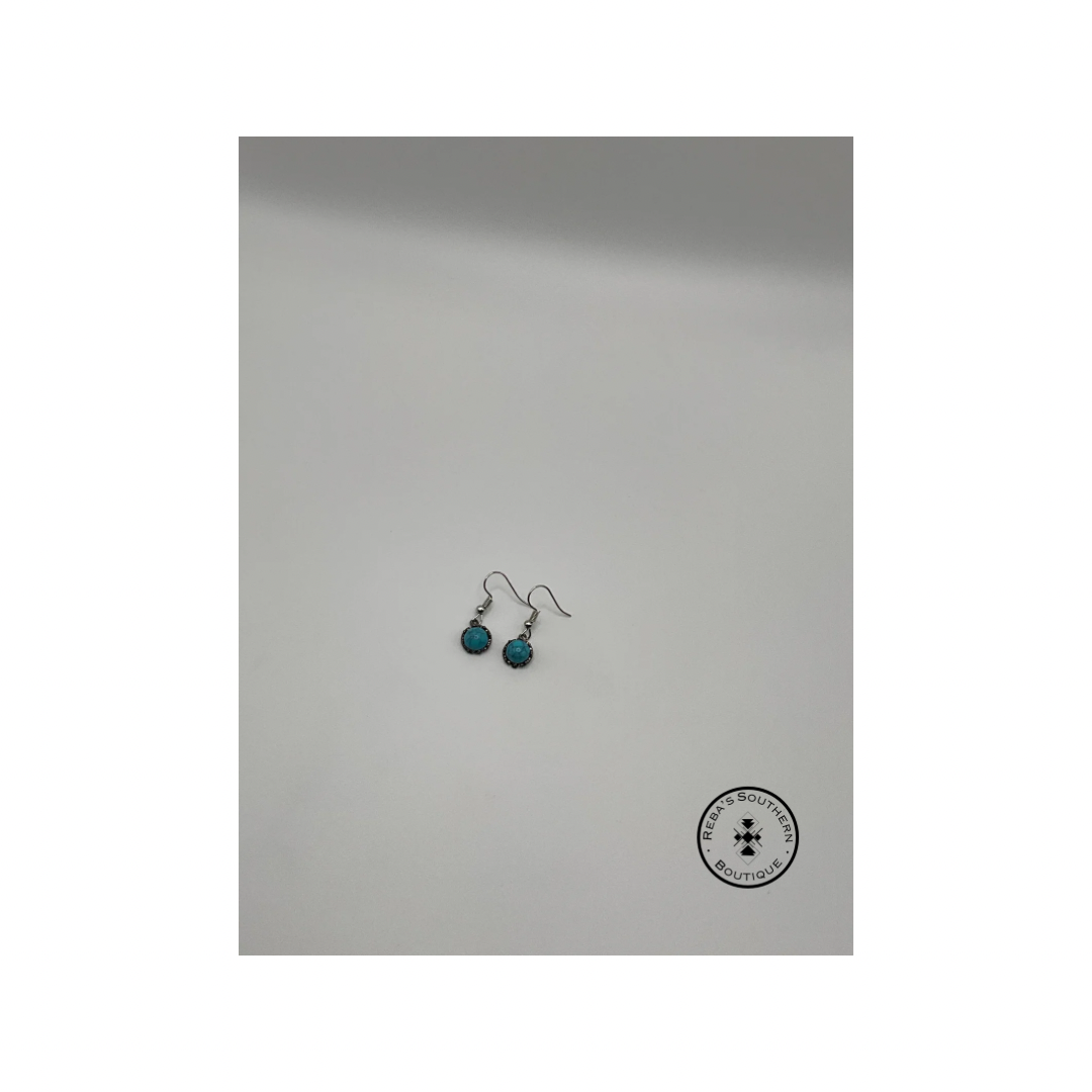 (Discounted) Round turquoise dangly fishhook earrings