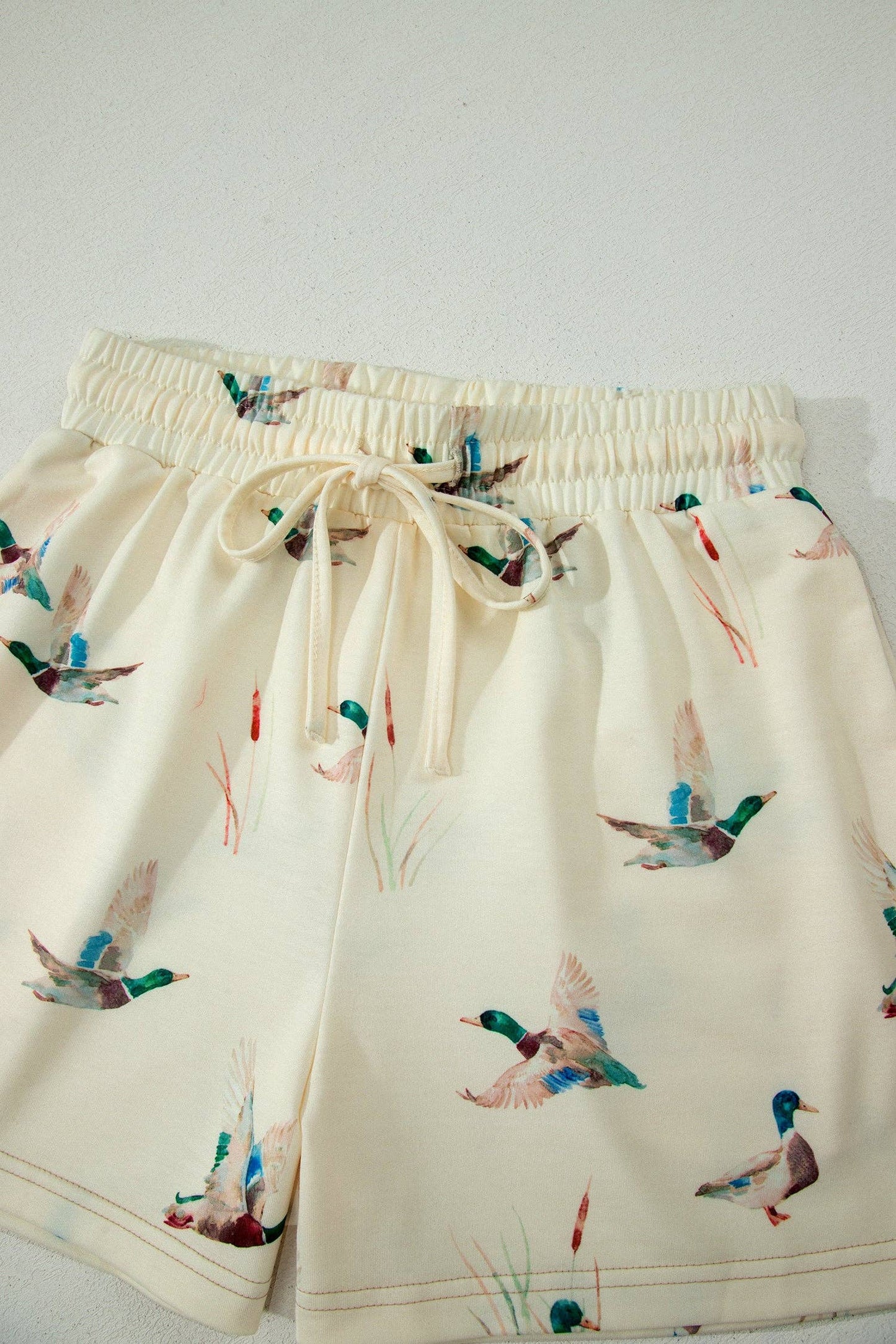 PRETTY BASH Mallard Duck Oversized Tee & Shorts Set