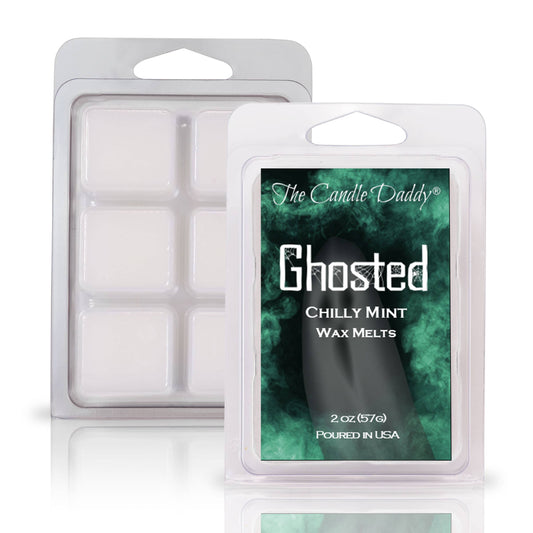 FUNNY FALL HALLOWEEN - GHOSTED - CHILLY MINT WAX MELT